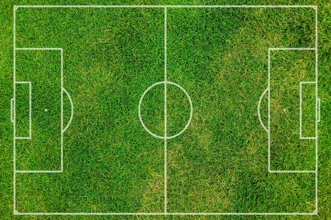 Fodboldspillere i Danmark