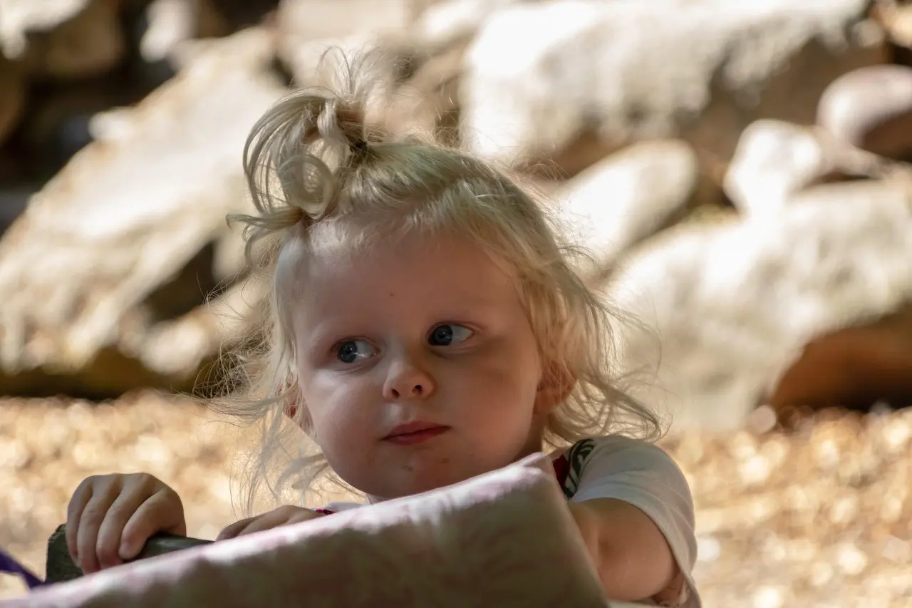 Medvirkende i Special Victims Unit