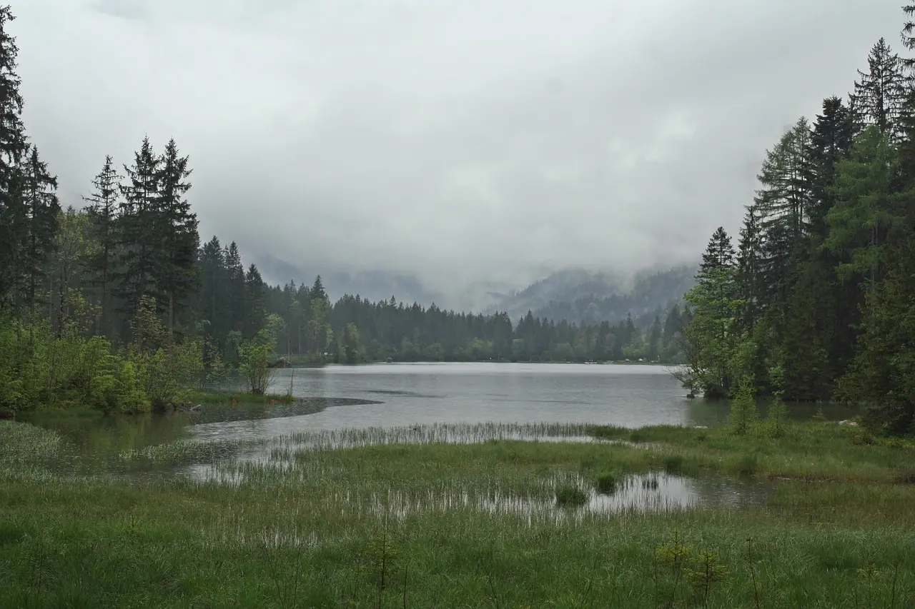 Hvor gammel er Allan Simonsen? Sandheden om alder, karriere og comeback
