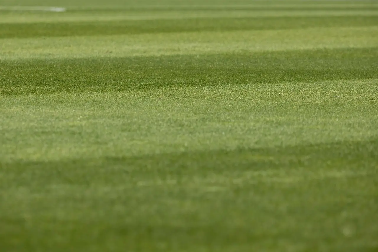Hvor mange fodboldklubber er der i Danmark? Bag tallene - fra græsrodsbaner til Superligaen