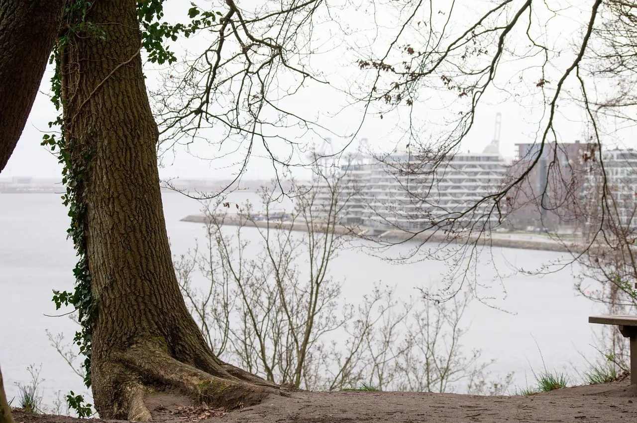 Hvordan er vejret i Aarhus i august måned?