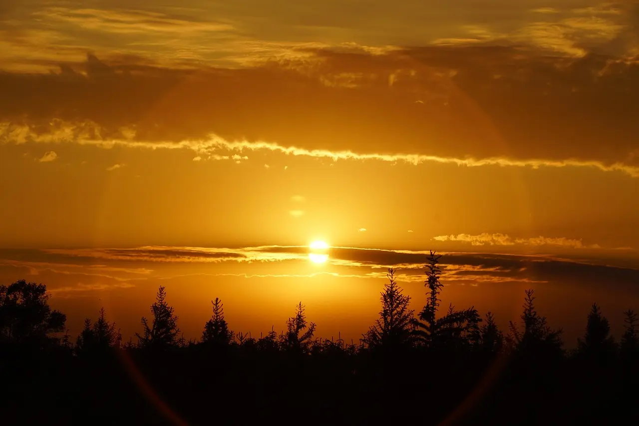 Hvordan er vejret i Odense i november måned?